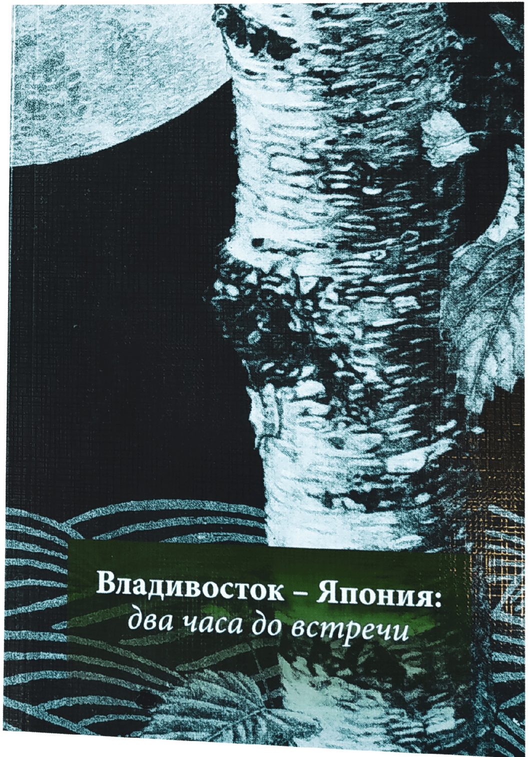 Владивосток — Япония: два часа до встречи (рус + яп) | (Дальиздат, мягк.)