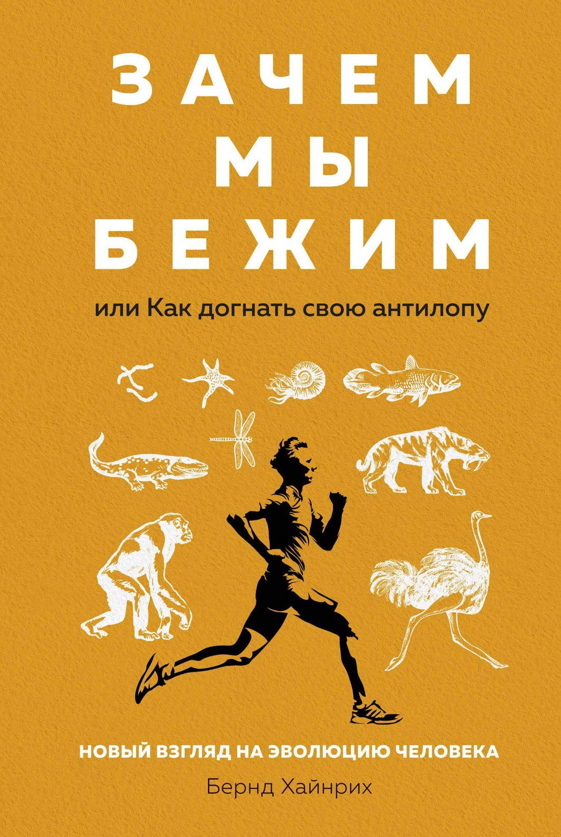 Хайнрих Б. Зачем мы бежим, или Как догнать свою антилопу. Новый взгляд на эволюцию человека | (Азбука/Колибри, тверд.)