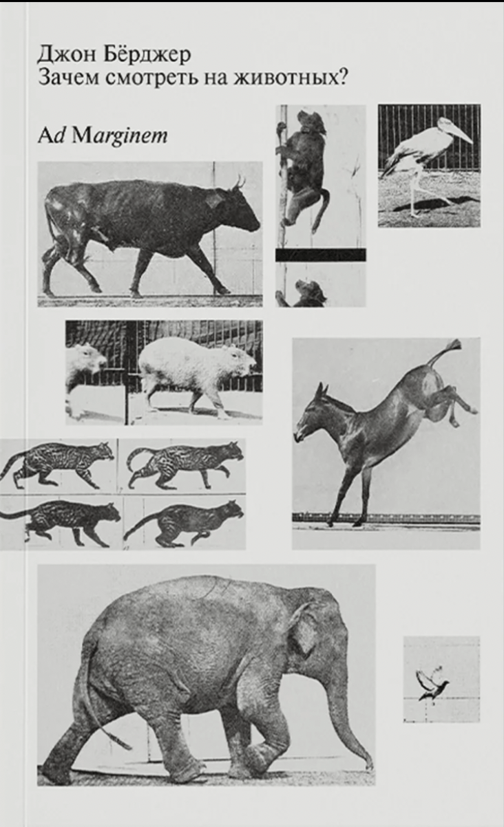 Берджер Дж. Зачем смотреть на животных? (2-е изд.) | (АдМаргинем, мягк.)