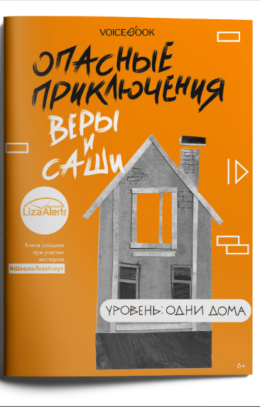 Опасные приключения Веры и Саши. Уровень: Одни дома | (Войсбук, мягк.)