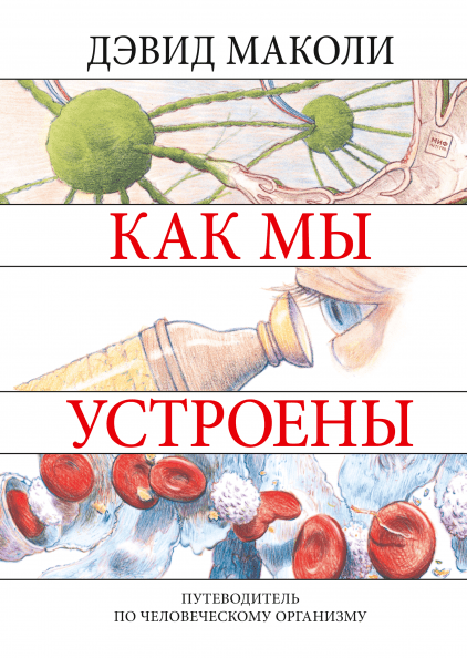 Уопкер Р., Маколи Д. Как мы устроены | (МИФ, тверд.)