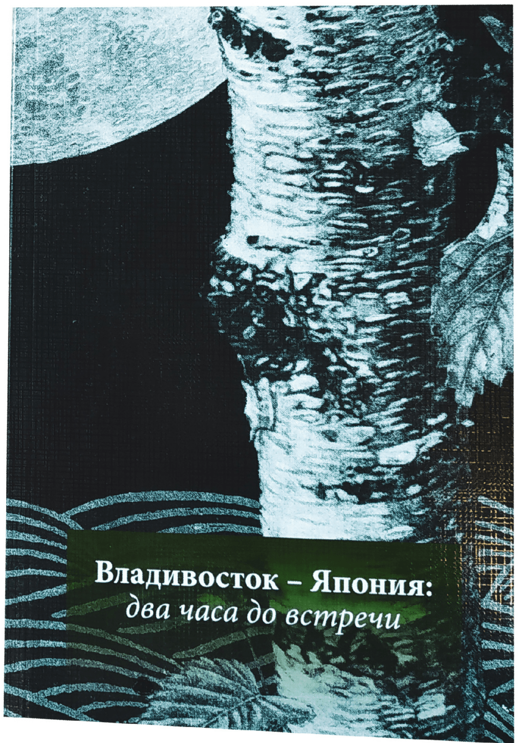 Владивосток — Япония: два часа до встречи (рус) | (Дальиздат, мягк.)