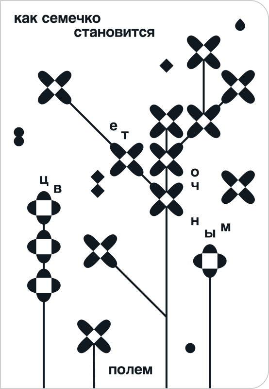 Цитрус К. Как семечко становится цветочным полем | (Поляндрия, тверд.)