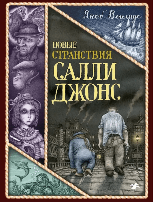 Вегелиус Я. Новые странствия Салли Джонс | (Белая ворона, тверд.)