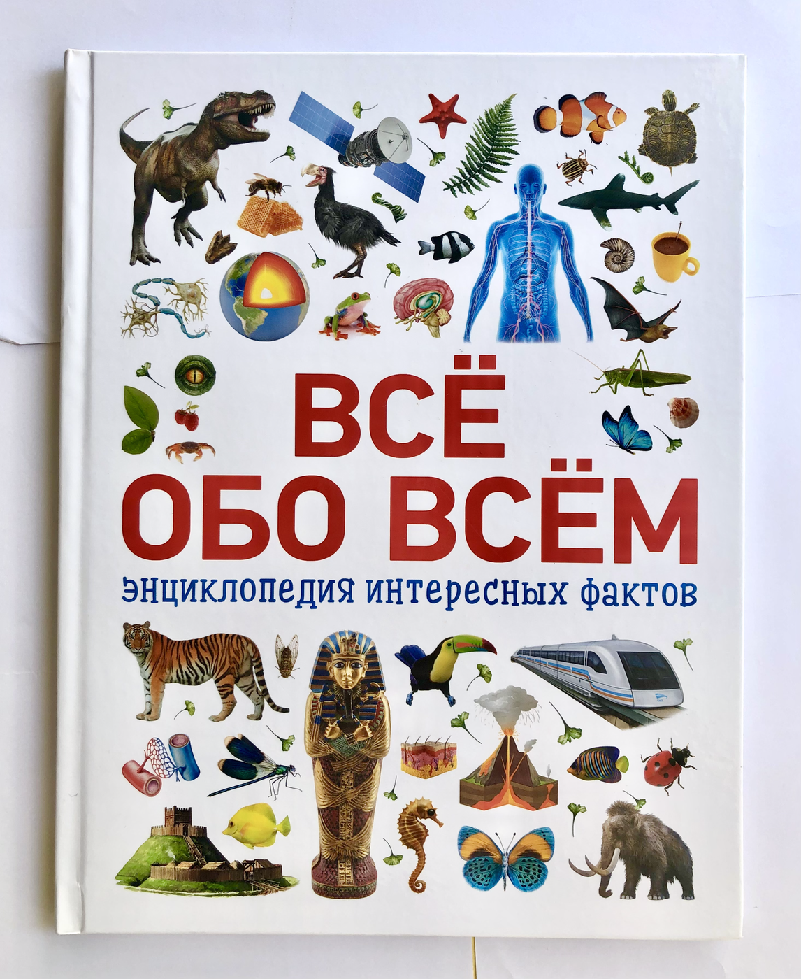 Конча Н. Л. Всё обо всём. Энциклопедия интересных фактов БУ | (Росмэн, твёрд.)